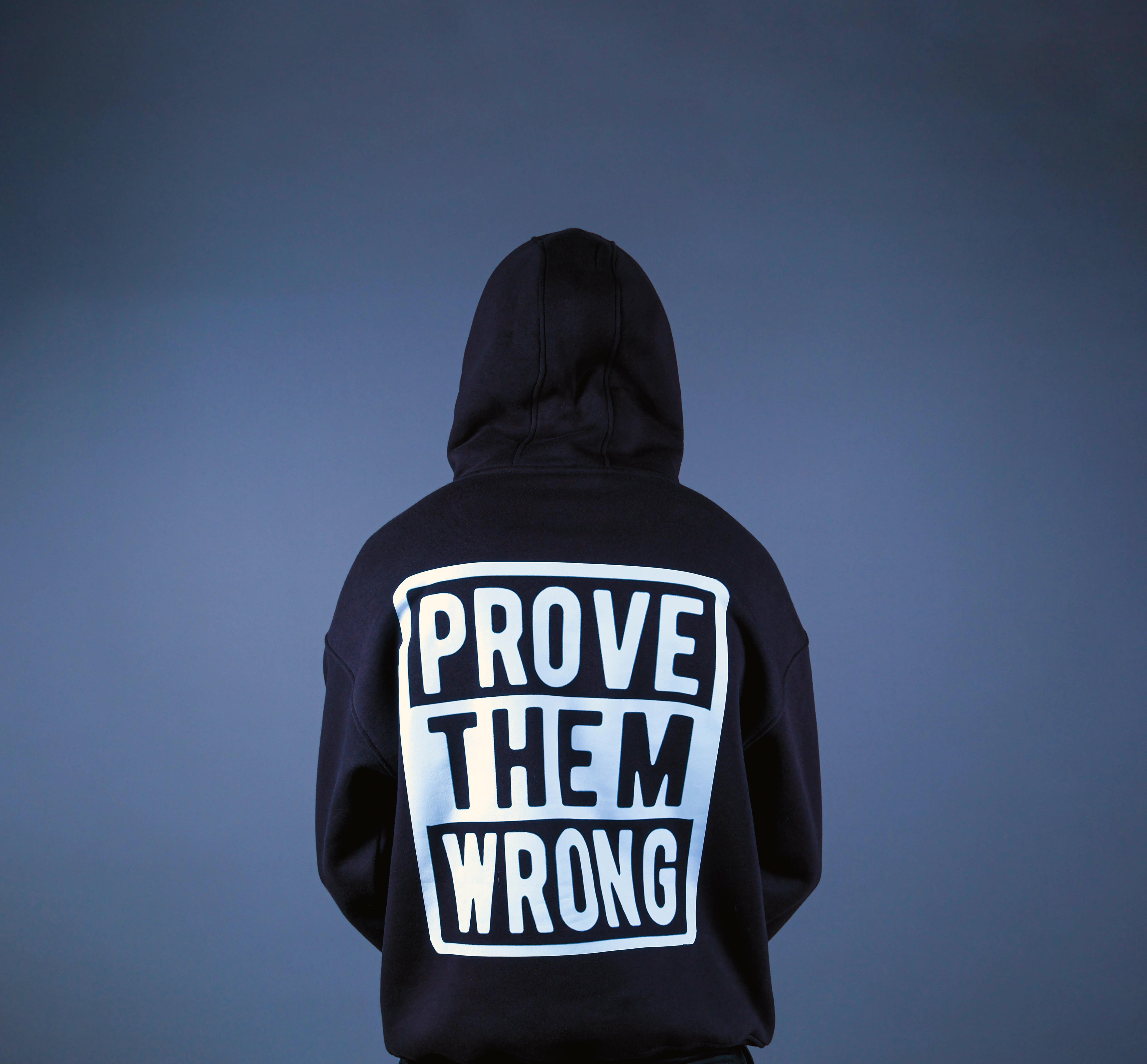 Prove them wrong hoodie